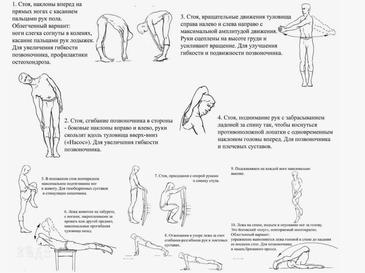 Пенсионный фонд Кубышка, утром, зарядка а-ля академик Амосов