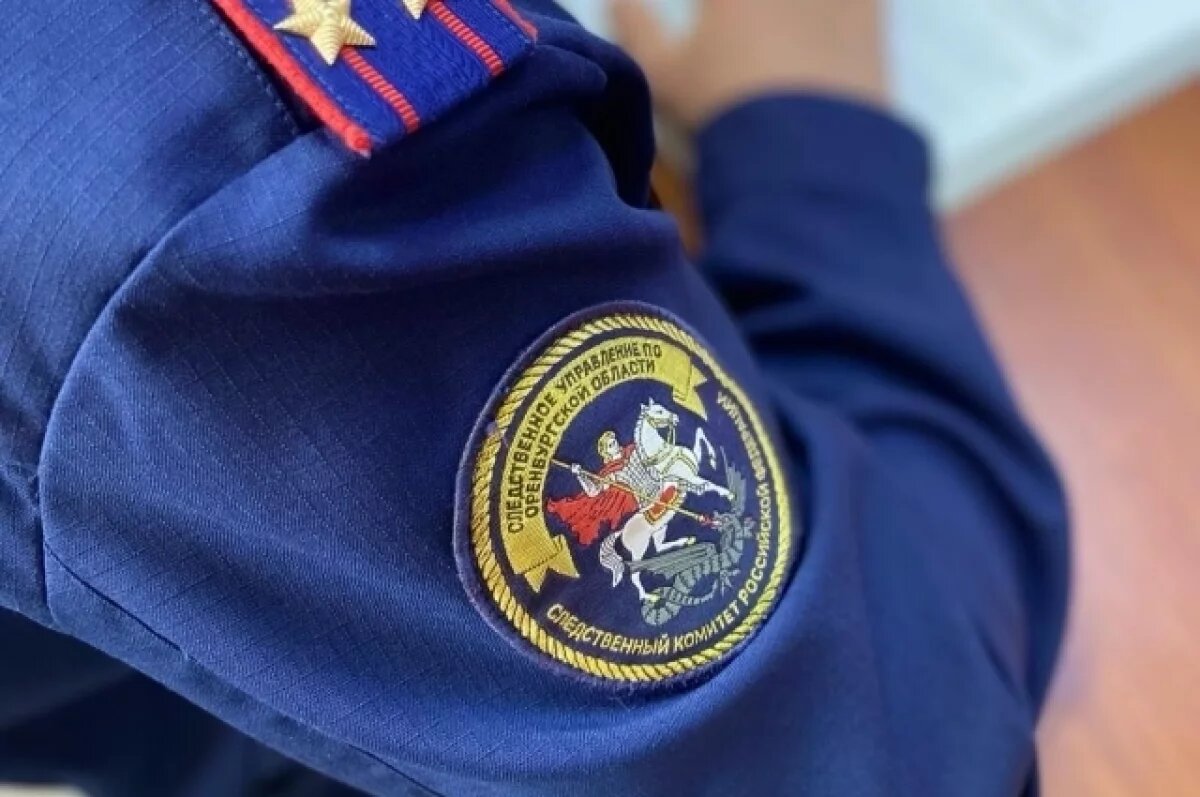    СК возбудил дело после нападения бродячих собак на мальчика