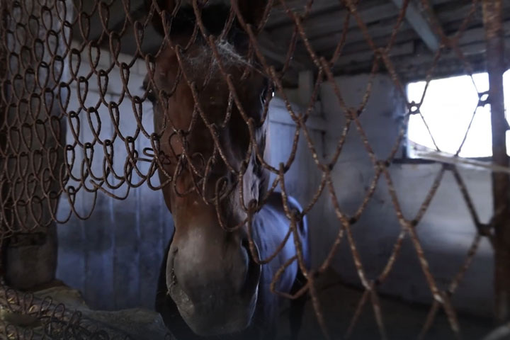 Стоп-кадр видео канала "АвтоРейтинг VIDEO PRODUKTION" 