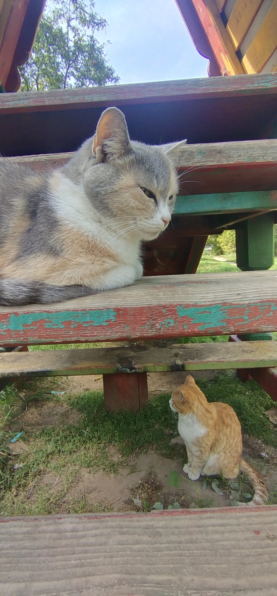 Личное фото