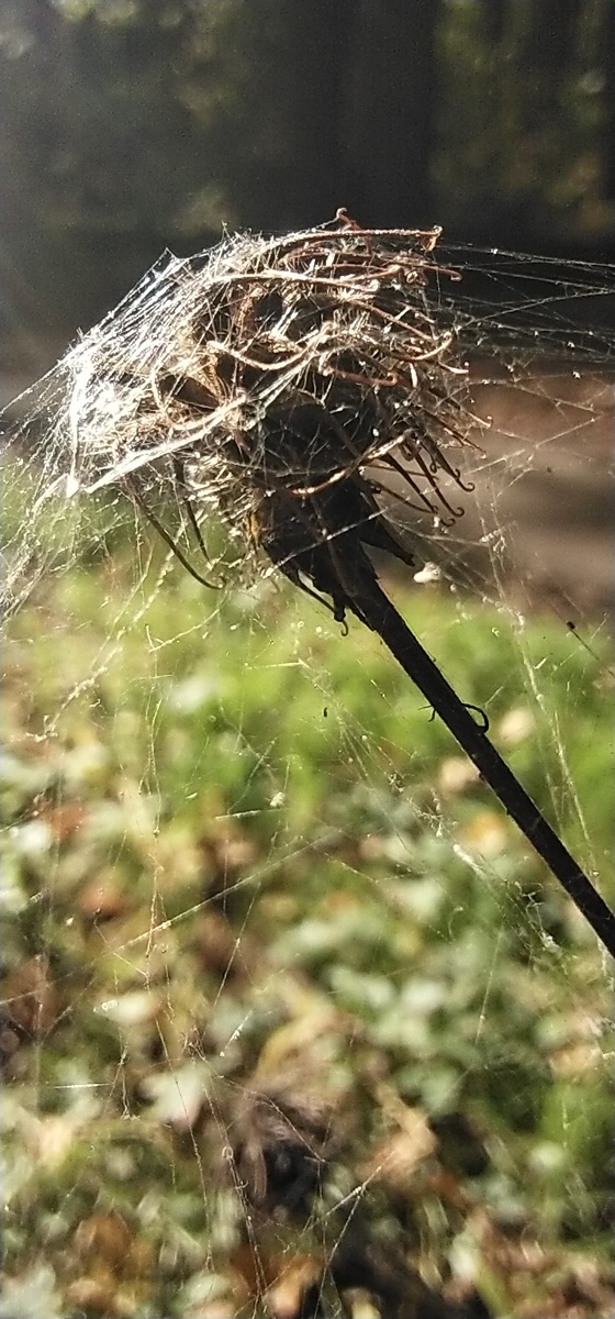 Личное фото