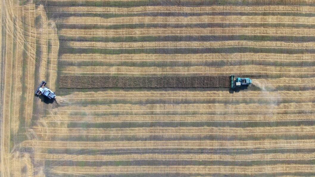 Фото: Виктор Сергеев, ИА "Тюменская линия"