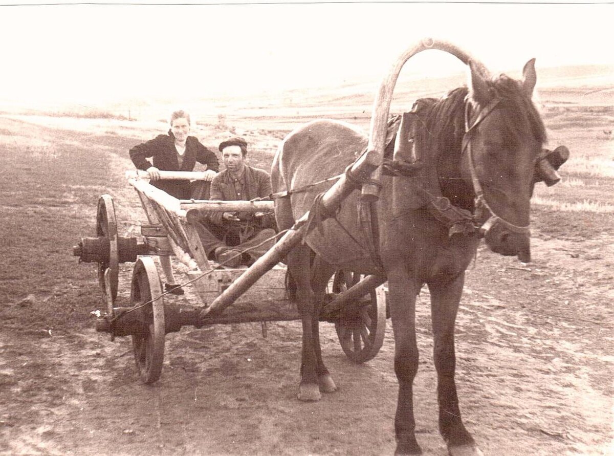 фото из интернета Поездка на бричке