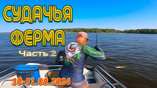 СУДАК СКОРО УЙДЕТ ОТ СЮДА. ВОДА ПАДАЕТ И ОСТЫВАЕТ. НО ПОКА - ЛОВЛЮ СКОЛЬКО НУЖНО. ЕГО ТЬМА. ДЖИГ на ГЛУБИНЕ 1.7 метра.