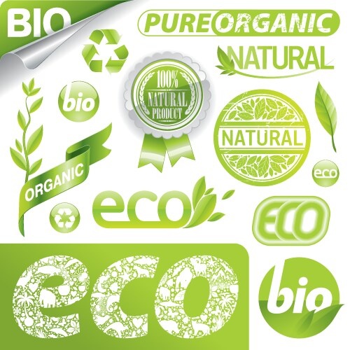 Источник изображений: Фото из открытых источников