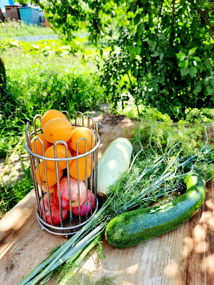 с Галиной дачи