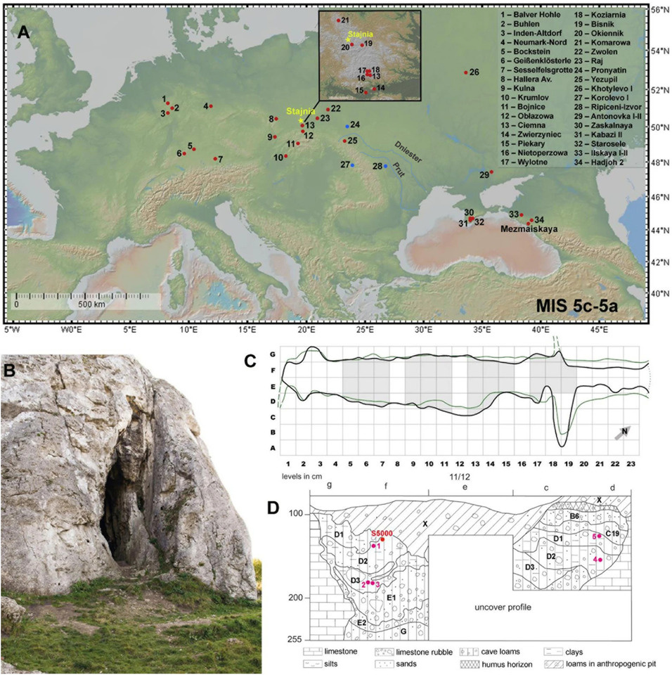   Andrea Picin et al. / Scientific Reports, 2020