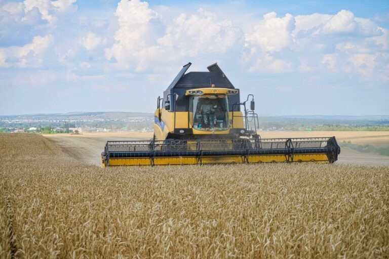    В хозяйствах Оренбуржья намолочено более 3 миллионов тонн зерна Кристина Просвиркина