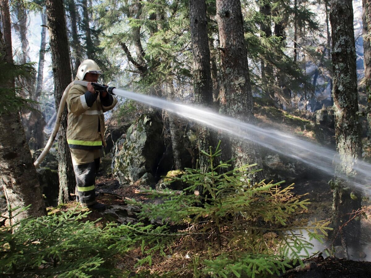    Сотрудник пожарной службы МЧС РФ тушит лесной пожар на территории национального парка "Тебердинский" в Гоначхирском ущелье в Карачаево-Черкесии© РИА Новости / Денис Абрамов