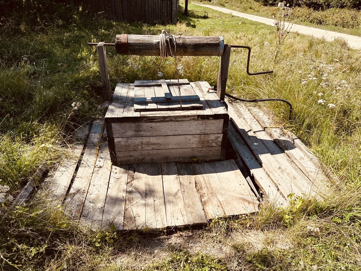 Фото автора.