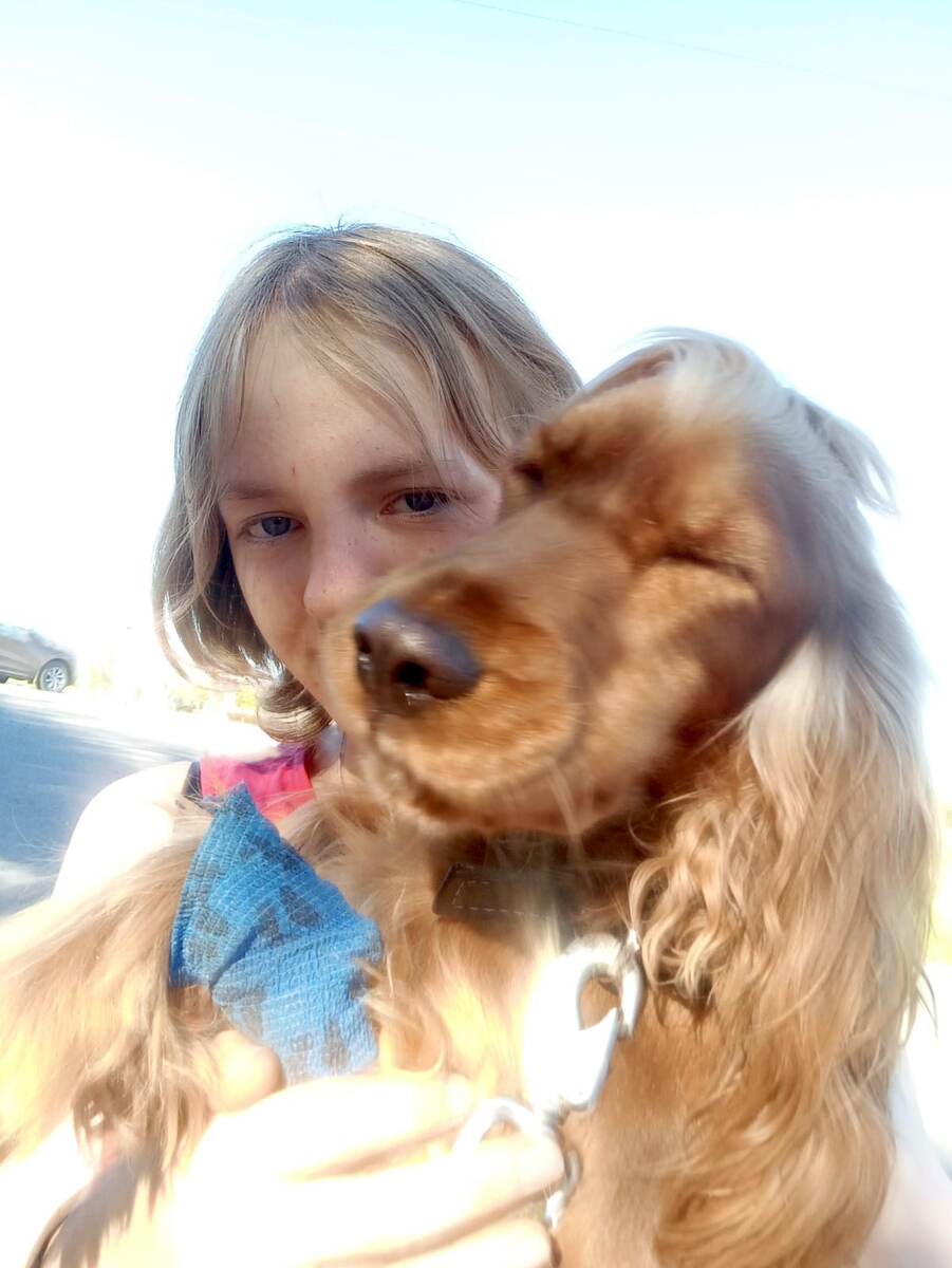 Фото из архива наших питомцев.