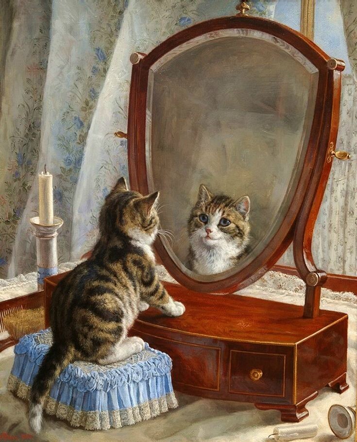 картинка из интернета