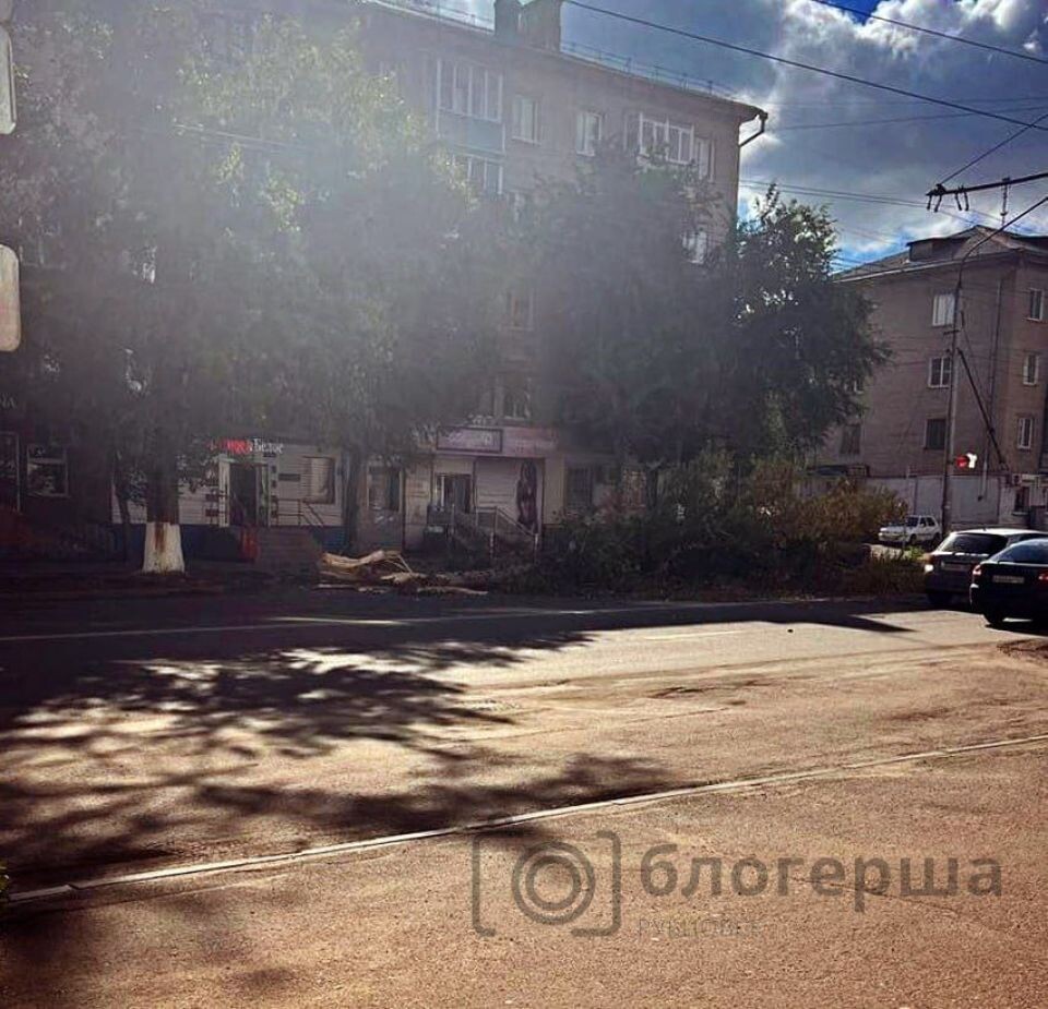   Дерево рухнуло на троллейбусную линию. Источник: t.me/rubtsovskienovosti
