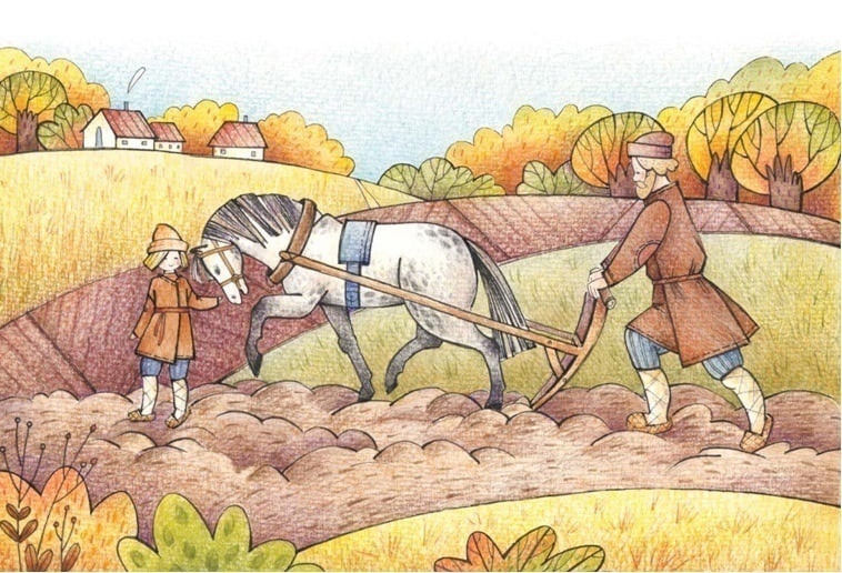 иллюстрации из книги