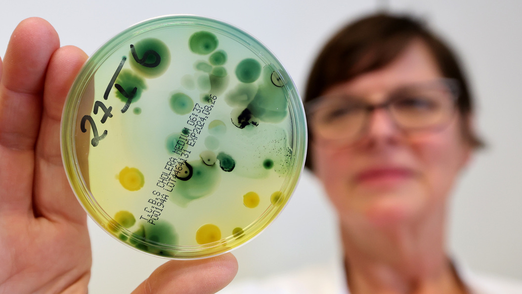    Bernd Wüstneck/dpa/Globallookpress