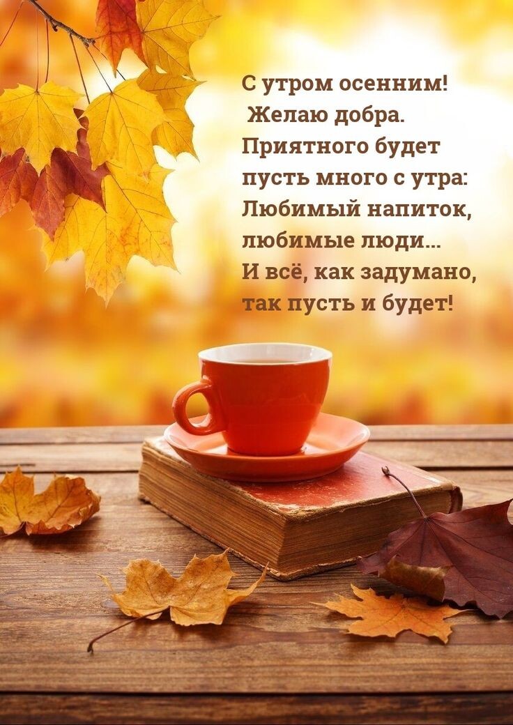 Мне прислали, с вами делюсь! 