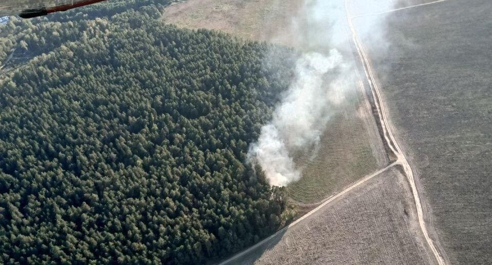    Комитет лесного хозяйства хозяйства Московской области