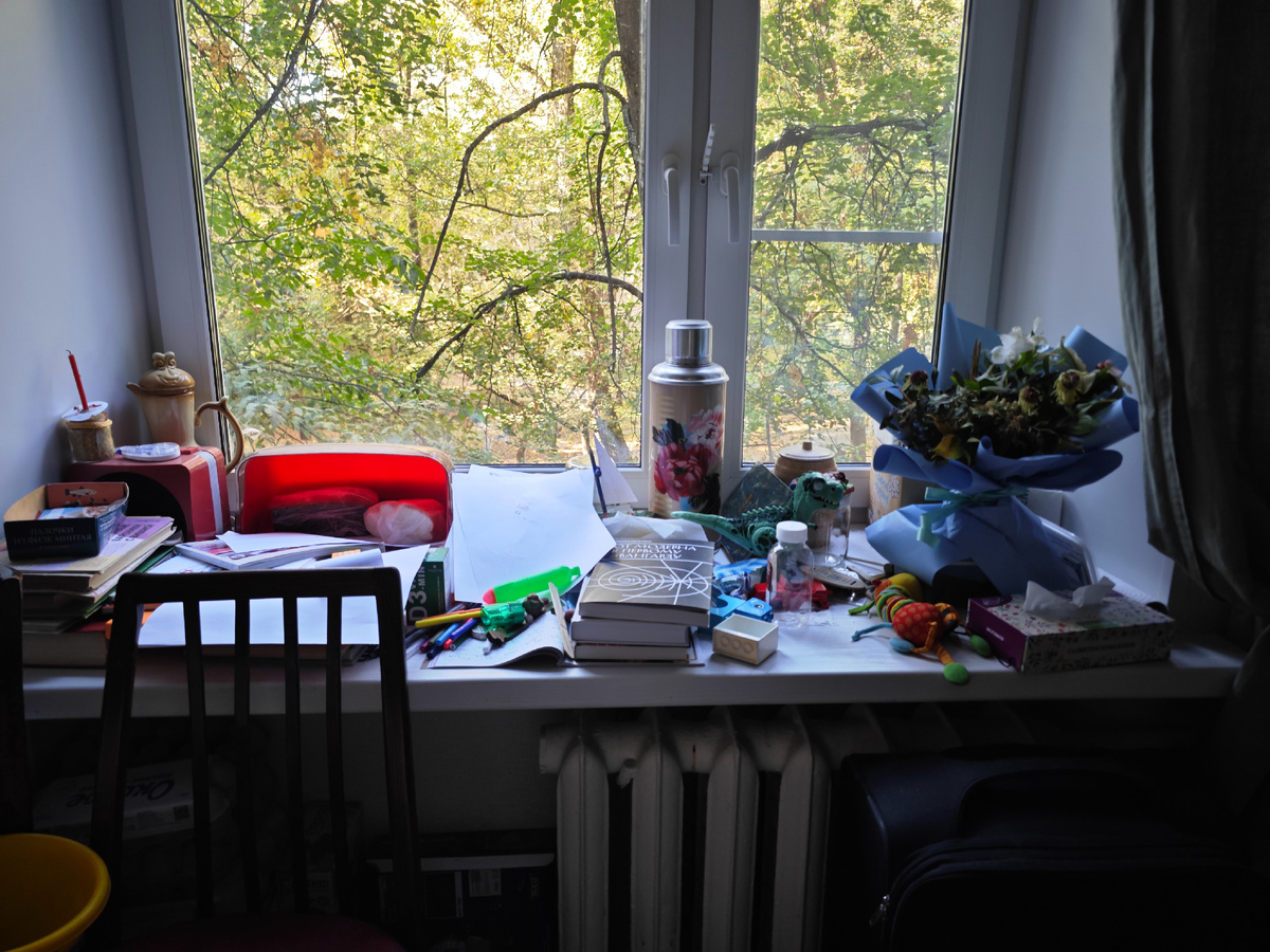 Вид за окном прекрасный, но подоконник постоянно притягивает к себе всякую мелочь, которой там не место 