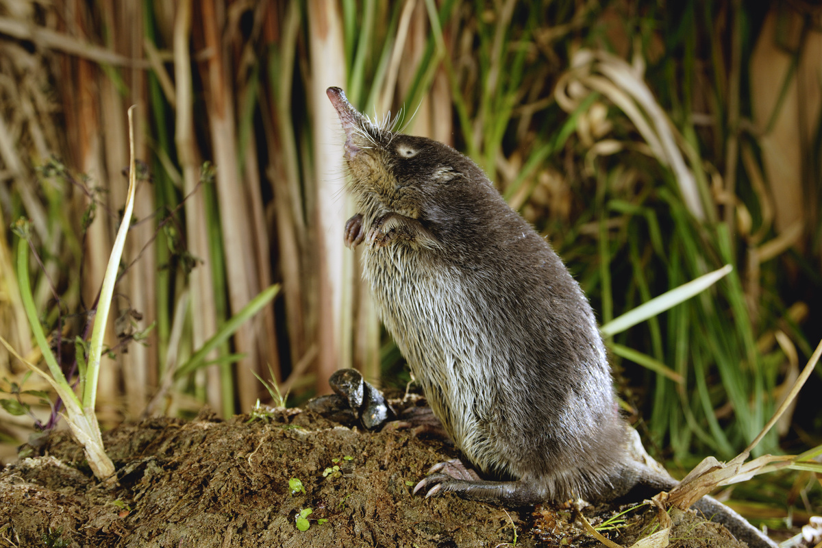 -Я так больше жить не могу!!!
