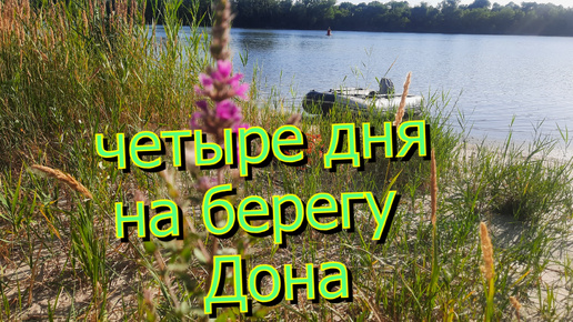 Четверо суток на Дону с палаткой и спиннингом. Рыбалка и отдых. #РыбалкаНаДону #РыбалкаИотдыхСудочкой