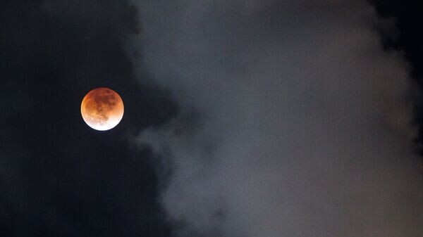    © Sputnik / Александр Кряжев