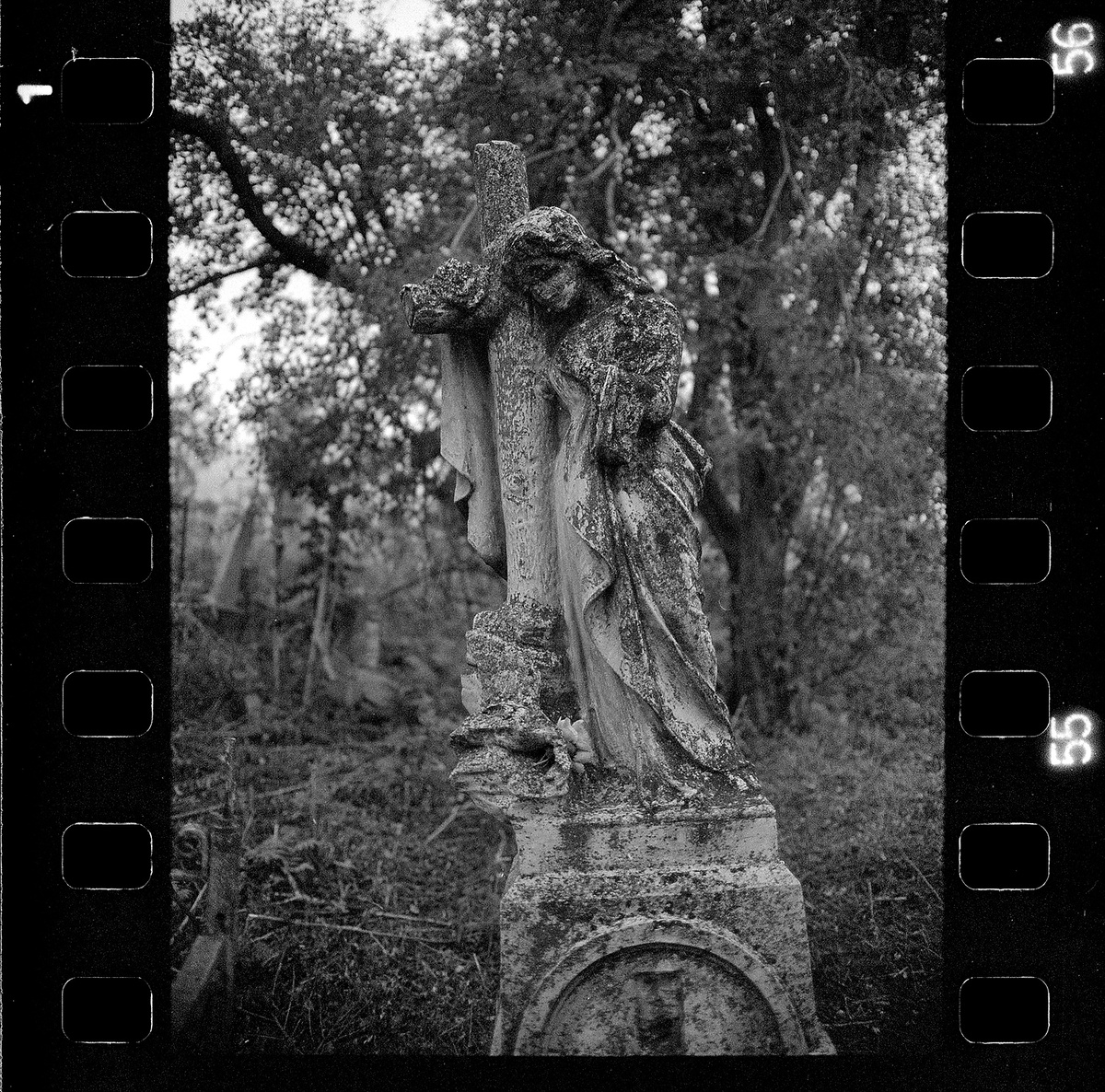 Здесь и далее все снято на Nikon F80 и Fomapan 100 Expired. Проявка - Rodinal 1:50. 11минут.