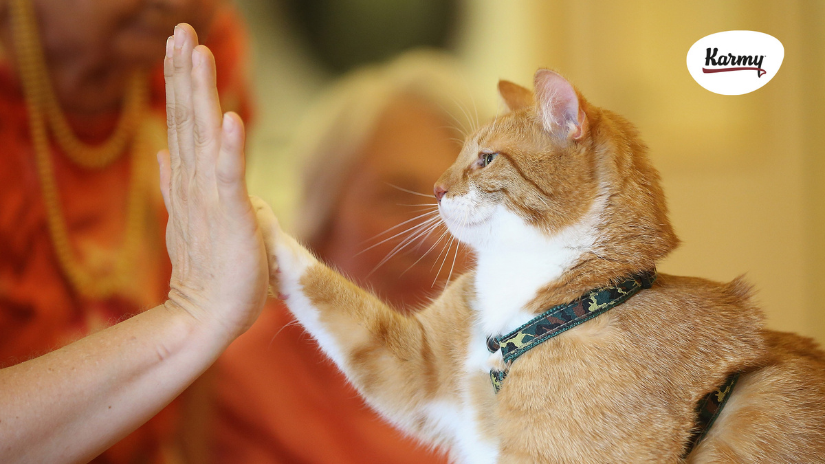 Авторское изображение с использованием картинки с сайта i.insider.com