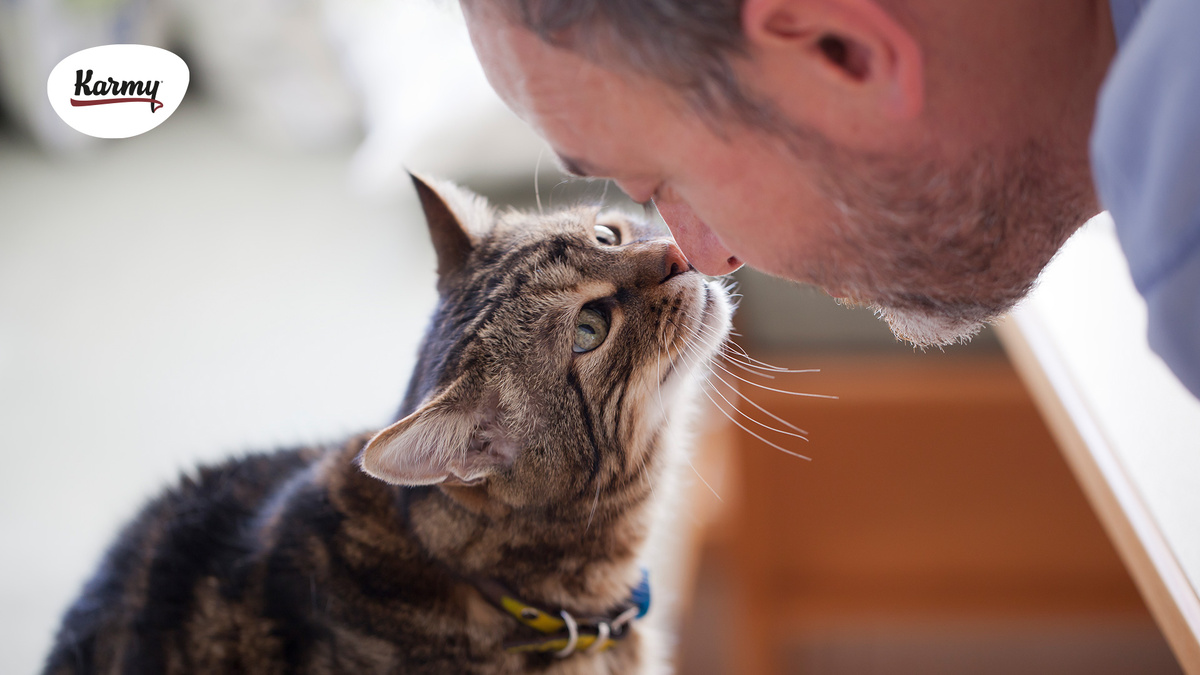 Авторское изображение с использованием картинки с сайта s3-us-west-1.amazonaws.com