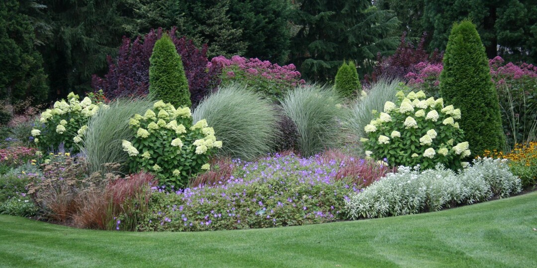 ЛАНДШАФТ спустя 5 лет. Какие ОШИБКИ были допущены. Оставила только самые НЕПРИХОТЛИВЫЕ растения