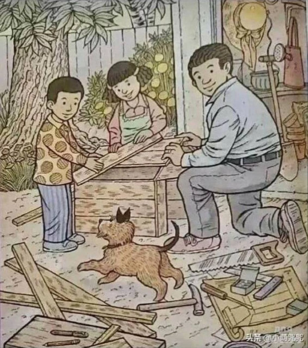 Фото взято из открытых источников интернета 