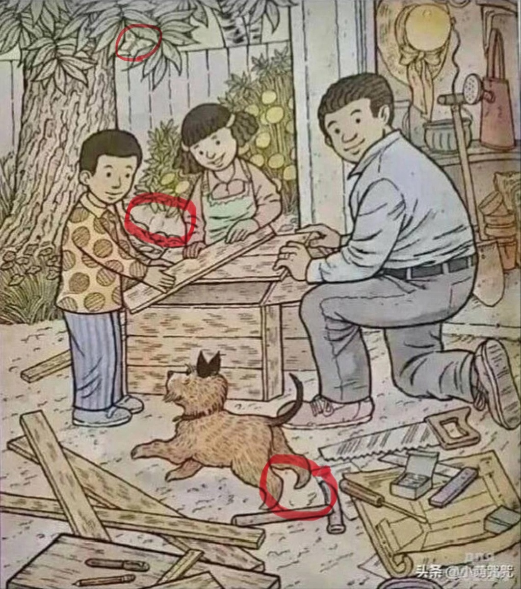 Фото взято из открытых источников интернета 