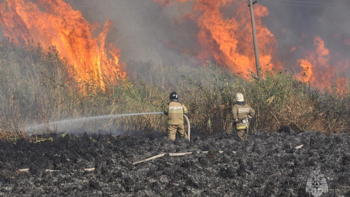    Фото: пресс-служба МЧС России по Ростовской области
