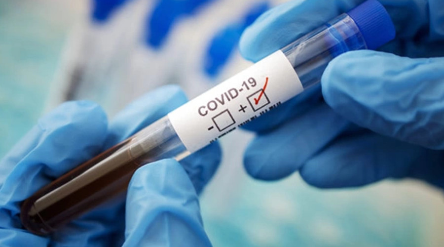    Фото: Здравница