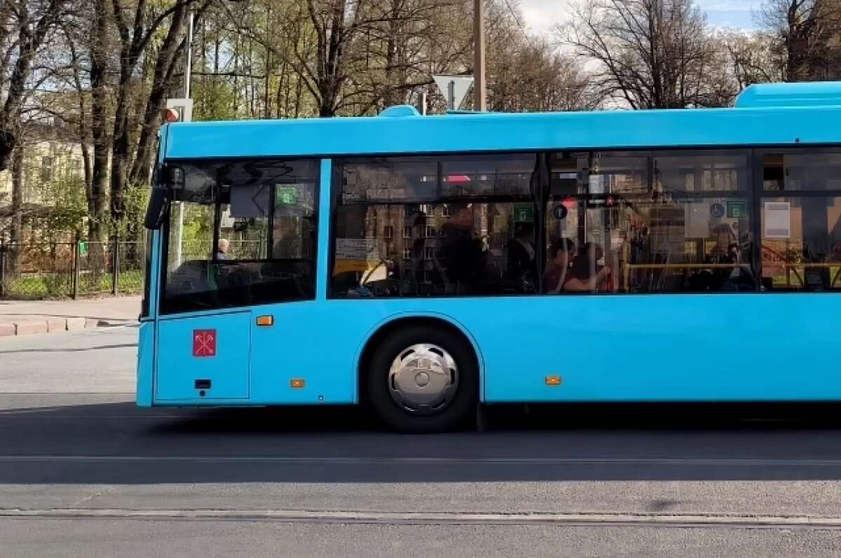    В Петербурге школьница сломала нос из-за резкого торможения автобуса