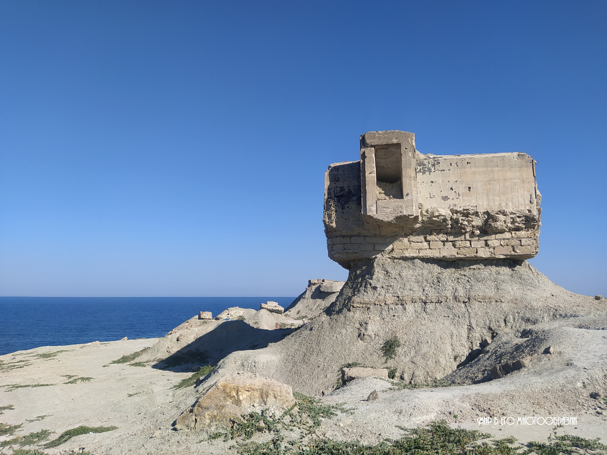 До прихода "инвесторов" немецкие укрепления находились в толще земли. Фотографии сделаны в августе 2024 года. Листайте галерею