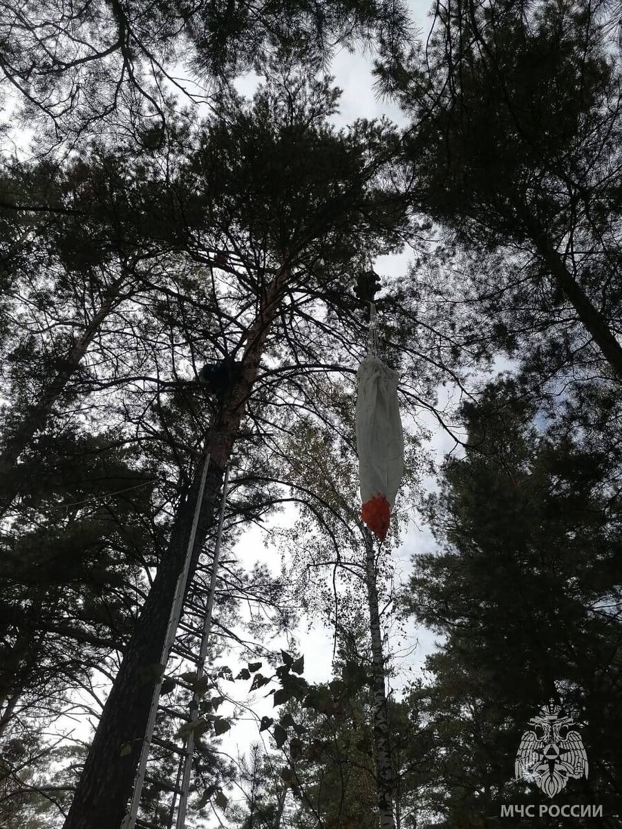    Жительница Барнаула зацепилась за сосну. Источник: t.me/mchs_official