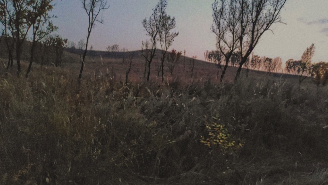 Фотографии, к сожалению, становились качеством всё ниже и ниже.