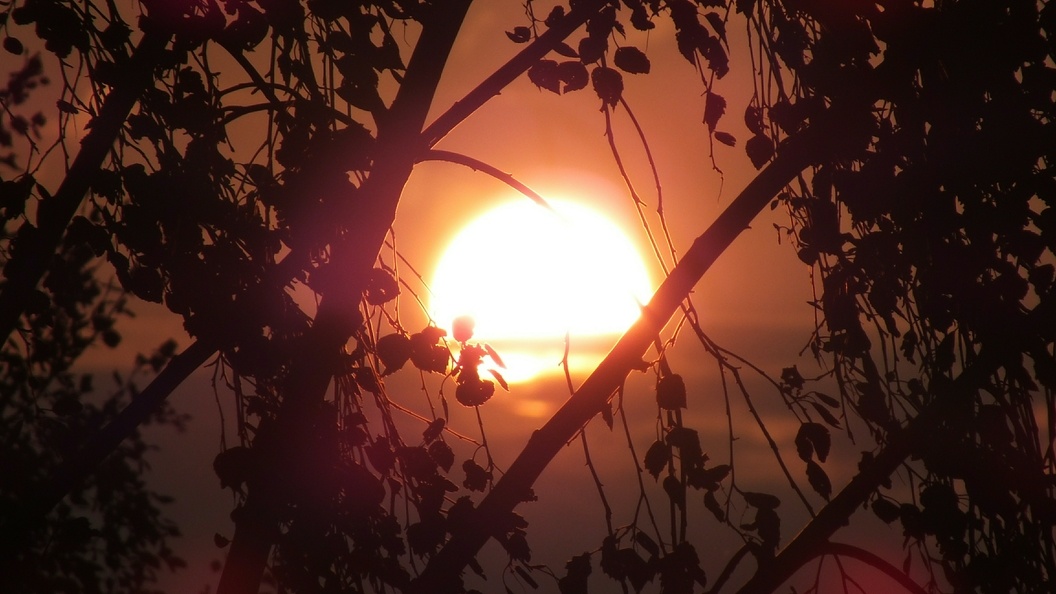    Victor Lisitsyn, Виктор Л/Global Look Press