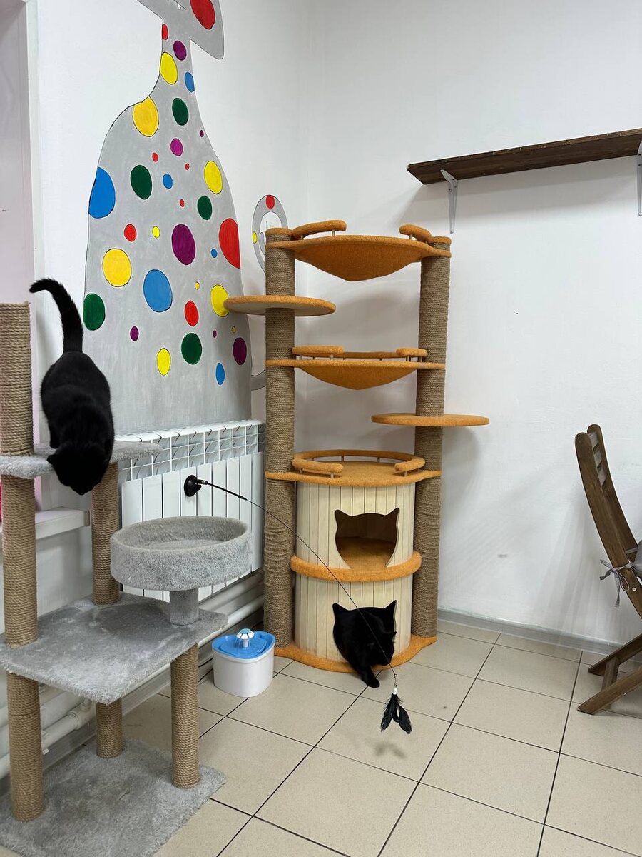 Кафе Мурчелло (фото из интернета)