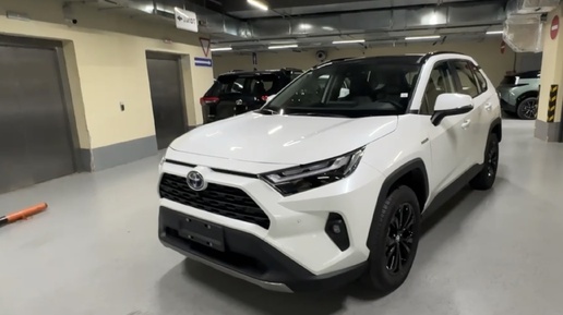 Редкие гости. Тойота RAV 4, 2,5 литра, гибрид.