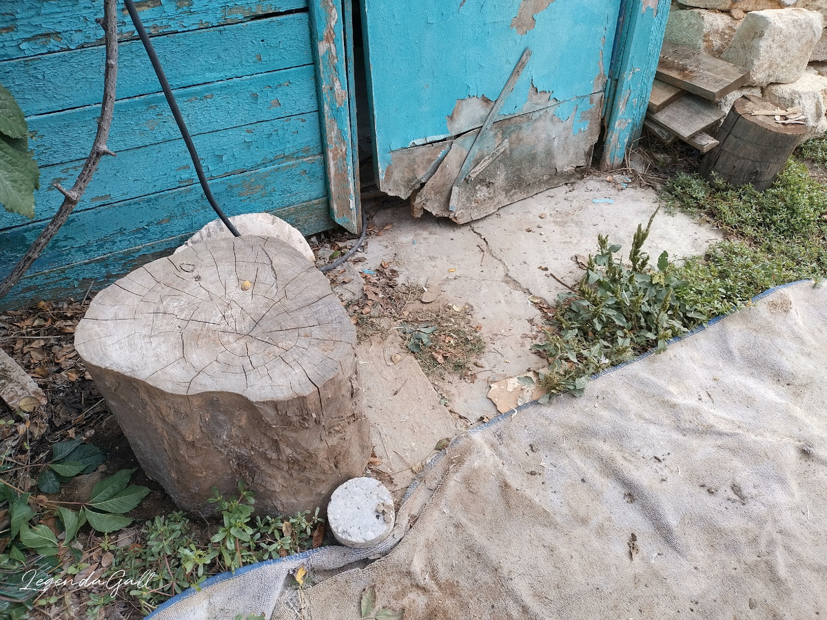 Вот тут сидела, а кур на табуреточке перед собой держала. Удобно.