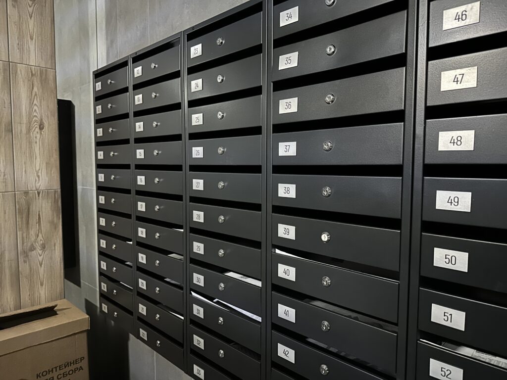    Фото v-kurse.ru \ Катерина Заякина Алена Калашникова