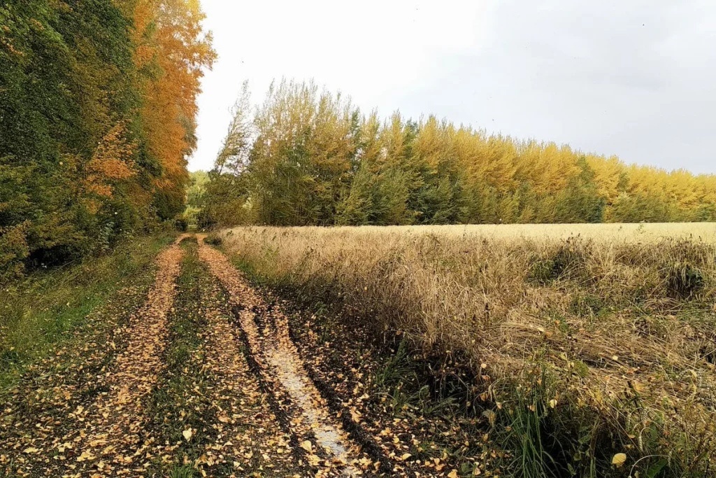 Фото: SterlitamakTime.ru / OOO «Уфатайм»