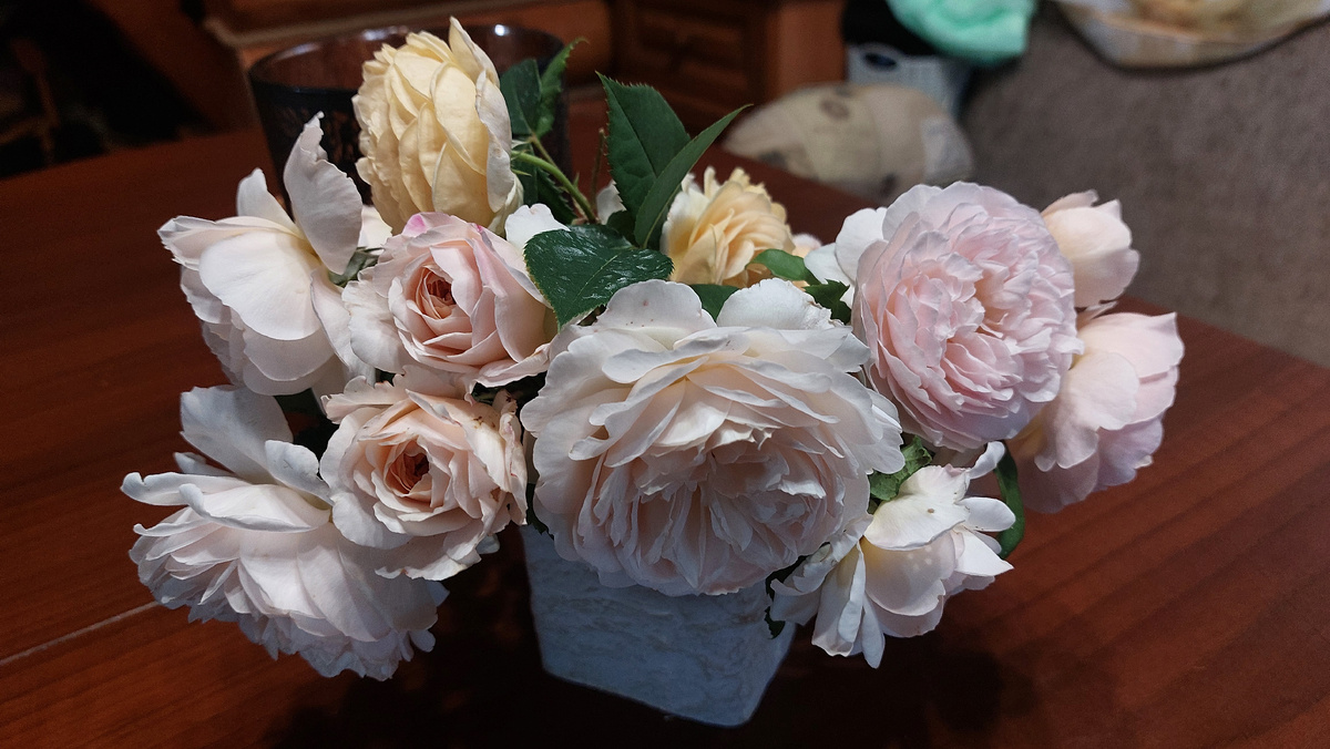 Букет из английских роз селекции Дэвида Остина. Летний букет)