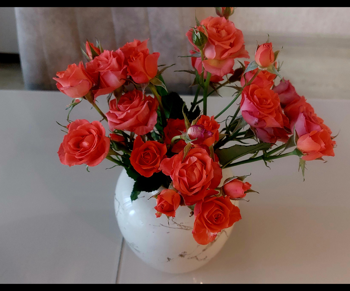 А это букет, который олицетворяет шикарное Бвбюе лето в Подмосковье). Роза Флорибунда Оранже Ювель. 
