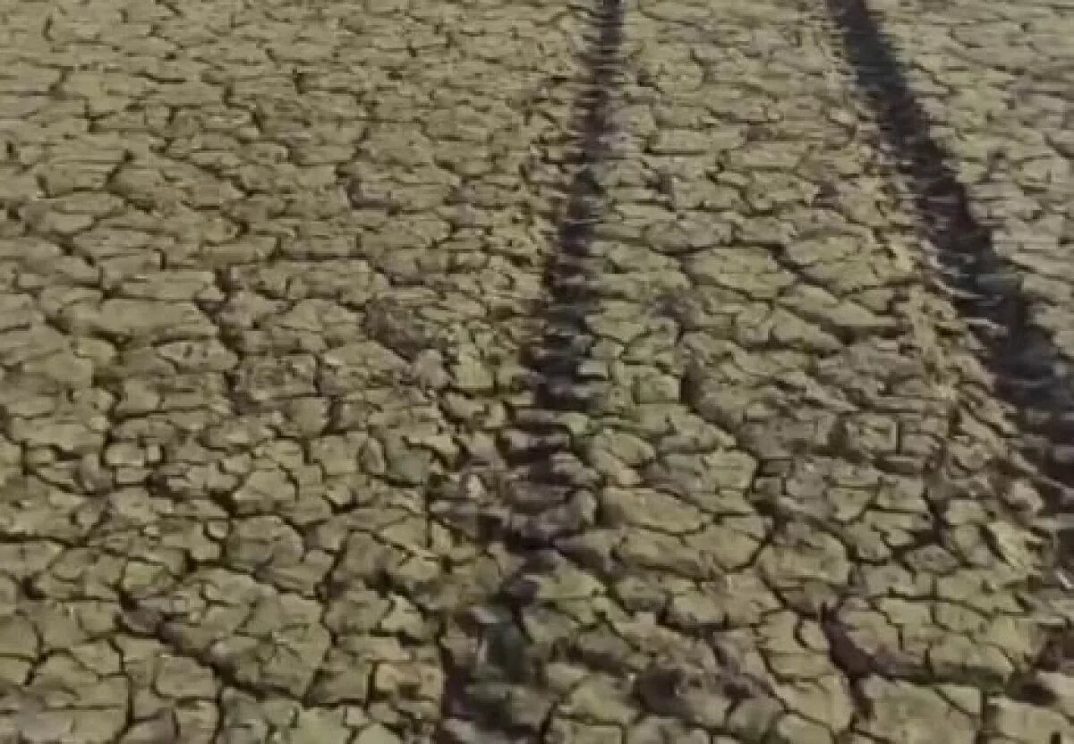    В пересохшем краснодарском водохранилище обнажилось дно