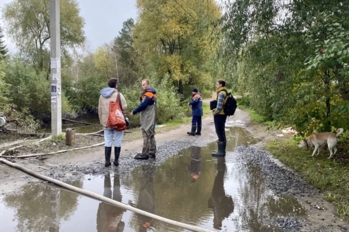    200 садовых участков осушили новосибирские спасатели в СНТ