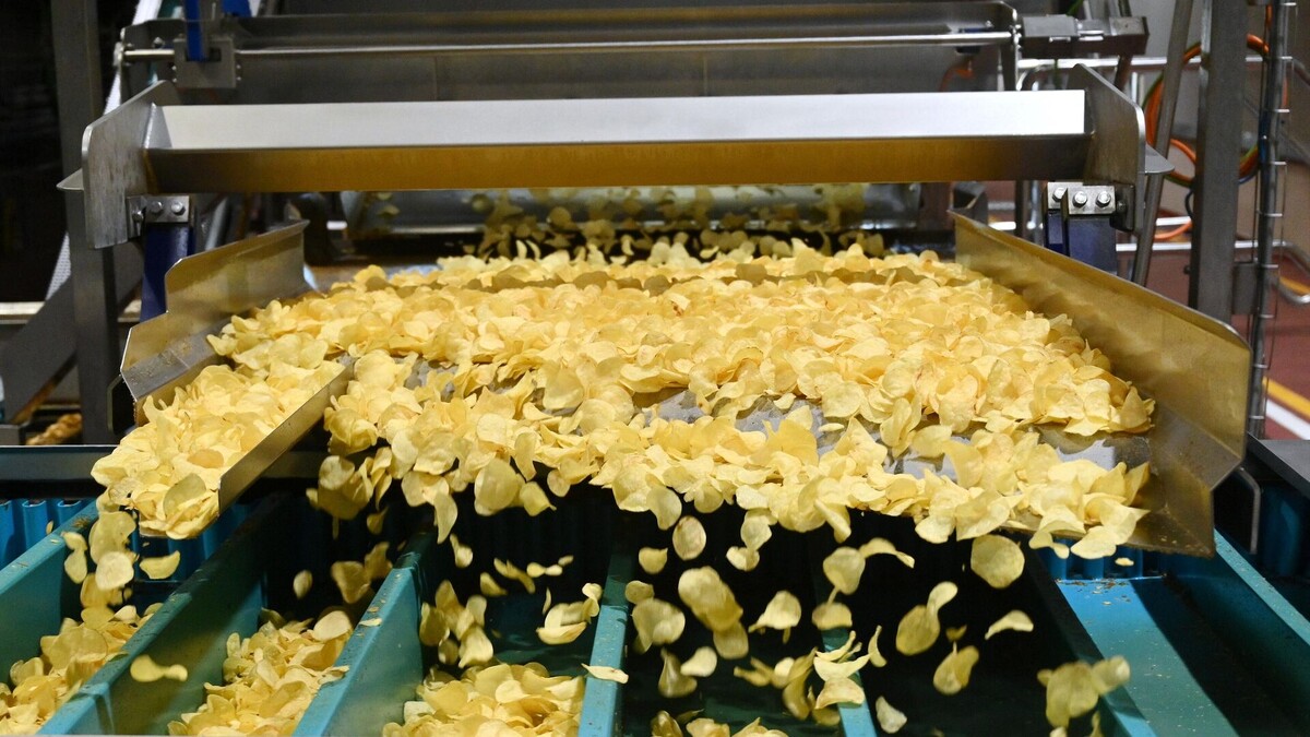 Различные конфигурации производственных линий от 50 до 300 кг. в час