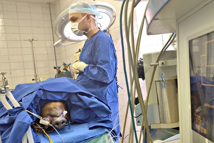    Фото к материалу - министерство науки и инновационной политики НСО и VN.ru