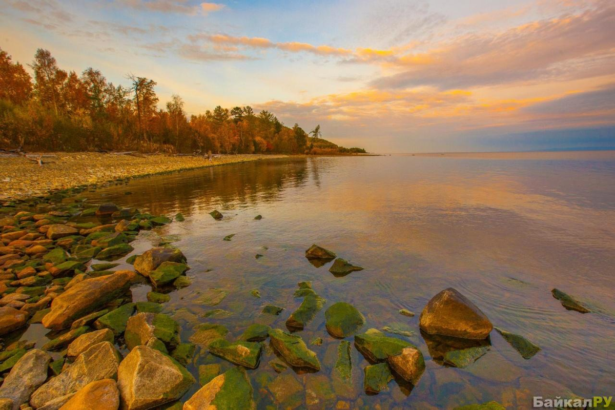 Фото с Яндекс.Картинки.